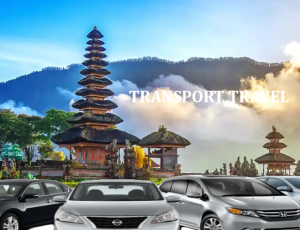 TRANSPORT SOLUTION